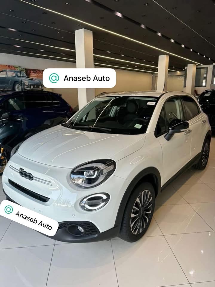 FIAT 500X